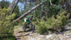 couvinir_025