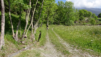 croce_di_fana_001