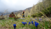 croce_di_fana_010