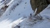 crochues_berard_030