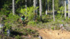 cumberland_012