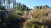cumberland_014