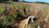 cumberland_015