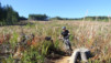 cumberland_016