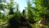 cumberland_019