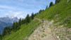 demecre_14_005