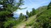 demecre_14_007