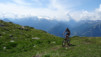 demecre_14_019