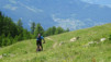demecre_14_039