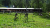 demecre_14_043