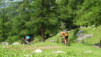 demecre_14_044