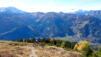 dent_21_012