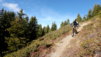 dent_21_013