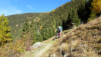 dent_21_015