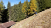 dent_21_016