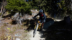 dent_21_018
