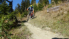 dent_21_019