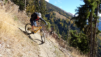 dent_21_021