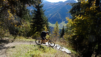 dent_21_022