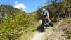 dent_21_023