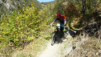 dent_21_024