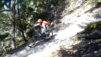 dent_21_025