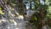 dent_21_026