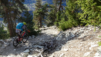 dent_21_028