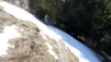 dent_de_lait_22_001