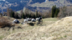dent_de_lait_22_007