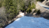 dent_de_lait_22_010