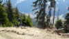 dent_de_lait_22_014