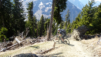 dent_de_lait_22_015