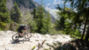 dent_de_lait_22_018
