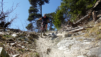 dent_de_lait_22_020