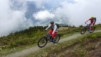 dent_sup_011