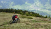 dent_sup_015