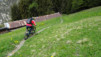 dent_sup_019