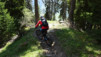 dent_sup_026