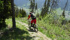 dent_sup_027