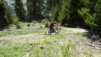 dent_sup_028