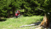 dent_sup_031
