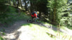 dent_sup_032