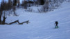 dotse_17_003
