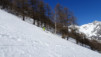 dotse_17_020