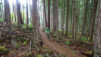 Lumière rasante et forêt de conifères géants nous incite à la jouer "low profile". duncan_009