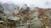 durand_14_024
