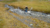 durand_14_027