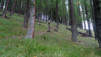 durand_14_043