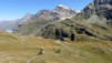 durand_15_018
